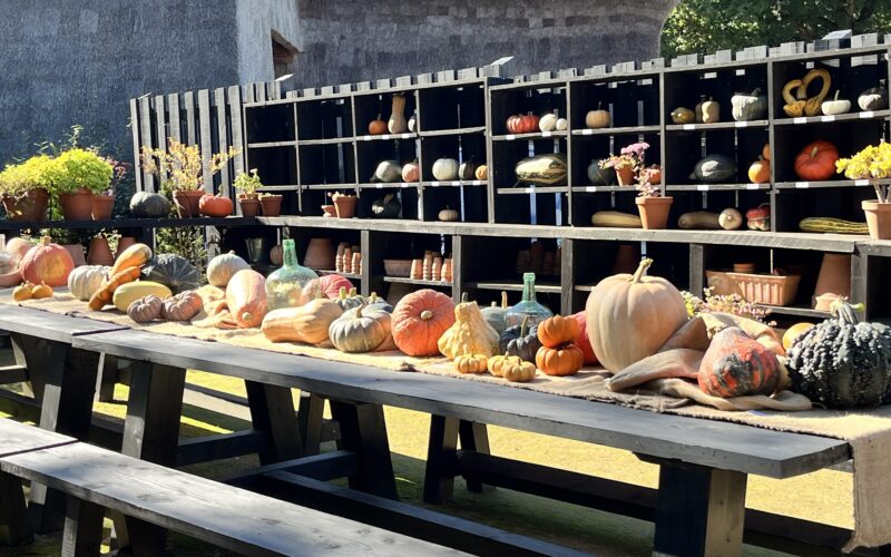 Le potager extraordinaire